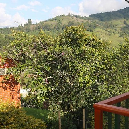 Apartmán Casita Entera Economica El Altillo Salento Exteriér fotografie